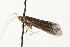  ( - MM03375)  @13 [ ] CreativeCommons - Attribution (2010) Unspecified Centre for Biodiversity Genomics