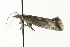  ( - MM03435)  @12 [ ] CreativeCommons - Attribution (2010) Unspecified Centre for Biodiversity Genomics