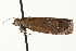  ( - MM03442)  @13 [ ] CreativeCommons - Attribution (2010) Unspecified Centre for Biodiversity Genomics