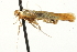  ( - MM03461)  @12 [ ] CreativeCommons - Attribution (2010) Unspecified Centre for Biodiversity Genomics