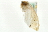  ( - MM04660)  @12 [ ] CreativeCommons - Attribution (2010) Unspecified Centre for Biodiversity Genomics