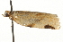  ( - MM05005)  @12 [ ] CreativeCommons - Attribution (2010) Unspecified Centre for Biodiversity Genomics