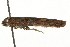  ( - MM05039)  @12 [ ] CreativeCommons - Attribution (2010) Unspecified Centre for Biodiversity Genomics