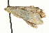 ( - MM05210)  @12 [ ] CreativeCommons - Attribution (2010) Unspecified Centre for Biodiversity Genomics