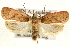  ( - MM03749)  @14 [ ] CreativeCommons - Attribution (2010) Unspecified Centre for Biodiversity Genomics