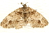  ( - MM03807)  @13 [ ] CreativeCommons - Attribution (2010) Unspecified Centre for Biodiversity Genomics