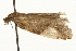  ( - MM05263)  @12 [ ] CreativeCommons - Attribution (2010) Unspecified Centre for Biodiversity Genomics