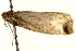  ( - MM05358)  @13 [ ] CreativeCommons - Attribution (2010) Unspecified Centre for Biodiversity Genomics