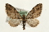  ( - MM05403)  @14 [ ] CreativeCommons - Attribution (2010) Unspecified Centre for Biodiversity Genomics