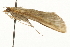  ( - MM04330)  @12 [ ] CreativeCommons - Attribution (2010) Unspecified Centre for Biodiversity Genomics