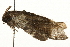  ( - MM04544)  @14 [ ] CreativeCommons - Attribution (2010) Unspecified Centre for Biodiversity Genomics