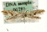  ( - MM06781)  @12 [ ] CreativeCommons - Attribution (2010) Unspecified Centre for Biodiversity Genomics