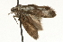  ( - MM06819)  @12 [ ] CreativeCommons - Attribution (2010) Unspecified Centre for Biodiversity Genomics