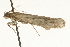 ( - MM06861)  @13 [ ] CreativeCommons - Attribution (2010) Unspecified Centre for Biodiversity Genomics