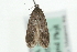 ( - MM05441)  @12 [ ] CreativeCommons - Attribution (2010) Unspecified Centre for Biodiversity Genomics