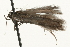  ( - MM05473)  @12 [ ] CreativeCommons - Attribution (2010) Unspecified Centre for Biodiversity Genomics