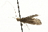  ( - MM06031)  @13 [ ] CreativeCommons - Attribution (2010) Unspecified Centre for Biodiversity Genomics