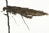  ( - MM06404)  @13 [ ] CreativeCommons - Attribution (2010) Unspecified Centre for Biodiversity Genomics