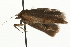  ( - MM06502)  @12 [ ] CreativeCommons - Attribution (2010) Unspecified Centre for Biodiversity Genomics