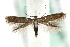  ( - MM06520)  @13 [ ] CreativeCommons - Attribution (2010) Unspecified Centre for Biodiversity Genomics