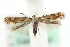  ( - MM06522)  @13 [ ] CreativeCommons - Attribution (2010) Unspecified Centre for Biodiversity Genomics