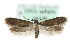  ( - MM06538)  @13 [ ] CreativeCommons - Attribution (2010) Unspecified Centre for Biodiversity Genomics
