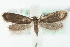  ( - MM07022)  @14 [ ] CreativeCommons - Attribution (2010) Unspecified Centre for Biodiversity Genomics