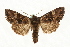  ( - MM08023)  @15 [ ] CreativeCommons - Attribution (2010) Unspecified Centre for Biodiversity Genomics