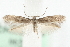  ( - MM06565)  @14 [ ] CreativeCommons - Attribution (2010) Unspecified Centre for Biodiversity Genomics
