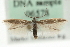  ( - MM06578)  @14 [ ] CreativeCommons - Attribution (2010) Unspecified Centre for Biodiversity Genomics