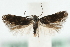  ( - MM06595)  @13 [ ] CreativeCommons - Attribution (2010) Unspecified Centre for Biodiversity Genomics