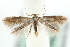  ( - MM06596)  @13 [ ] CreativeCommons - Attribution (2010) Unspecified Centre for Biodiversity Genomics
