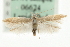  ( - MM06624)  @13 [ ] CreativeCommons - Attribution (2010) Unspecified Centre for Biodiversity Genomics