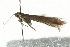  ( - MM06178)  @11 [ ] CreativeCommons - Attribution (2010) Unspecified Centre for Biodiversity Genomics