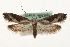  ( - MM09804)  @14 [ ] CreativeCommons - Attribution (2010) Unspecified Centre for Biodiversity Genomics