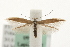  ( - MM09908)  @14 [ ] CreativeCommons - Attribution (2010) Unspecified Centre for Biodiversity Genomics