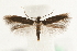  ( - MM09948)  @14 [ ] CreativeCommons - Attribution (2010) Unspecified Centre for Biodiversity Genomics