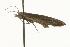  ( - MM10091)  @12 [ ] CreativeCommons - Attribution (2010) Unspecified Centre for Biodiversity Genomics