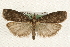 ( - MM10143)  @15 [ ] CreativeCommons - Attribution (2010) Unspecified Centre for Biodiversity Genomics