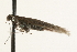  ( - MM10150)  @11 [ ] CreativeCommons - Attribution (2010) Unspecified Centre for Biodiversity Genomics