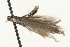  ( - MM08056)  @12 [ ] CreativeCommons - Attribution (2010) Unspecified Centre for Biodiversity Genomics
