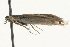  ( - MM08057)  @12 [ ] CreativeCommons - Attribution (2010) Unspecified Centre for Biodiversity Genomics