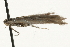  ( - MM08058)  @12 [ ] CreativeCommons - Attribution (2010) Unspecified Centre for Biodiversity Genomics