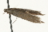  ( - MM08059)  @12 [ ] CreativeCommons - Attribution (2010) Unspecified Centre for Biodiversity Genomics