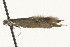  ( - MM08060)  @12 [ ] CreativeCommons - Attribution (2010) Unspecified Centre for Biodiversity Genomics