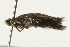  ( - MM08062)  @12 [ ] CreativeCommons - Attribution (2010) Unspecified Centre for Biodiversity Genomics