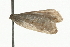  ( - MM08175)  @13 [ ] CreativeCommons - Attribution (2010) Unspecified Centre for Biodiversity Genomics