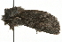  ( - MM08281)  @12 [ ] CreativeCommons - Attribution (2010) Unspecified Centre for Biodiversity Genomics