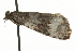  ( - MM08290)  @12 [ ] CreativeCommons - Attribution (2010) Unspecified Centre for Biodiversity Genomics