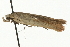  ( - MM08300)  @13 [ ] CreativeCommons - Attribution (2010) Unspecified Centre for Biodiversity Genomics